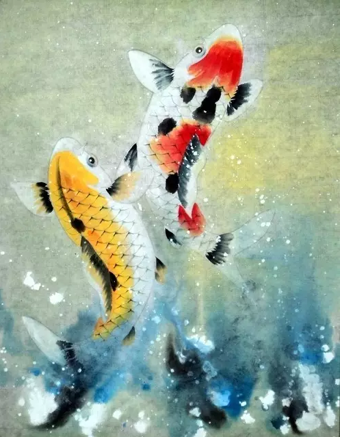 锦鲤