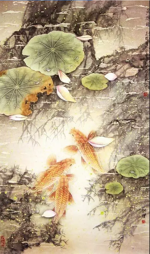 锦鲤鱼