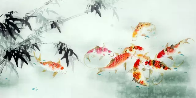 锦鲤鱼